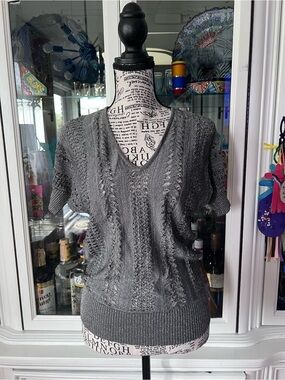 2/30 The Limited Metallic Gray V-Neck Short Sleeve Knit Sweater XS